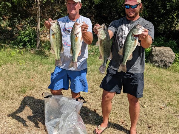 a couple of people that are standing in the grass